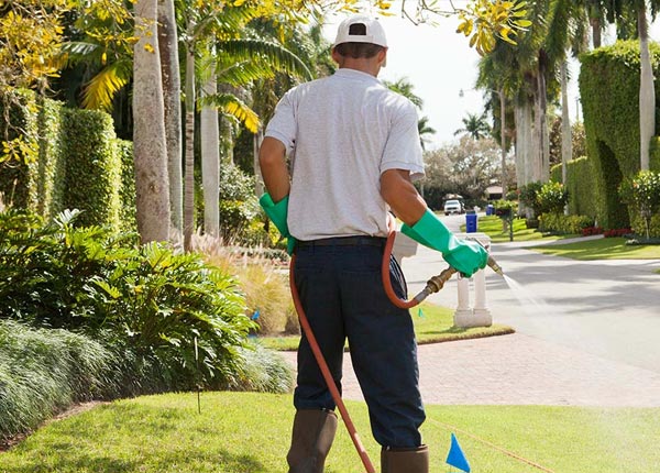 About East Hampstead NH Pest Control